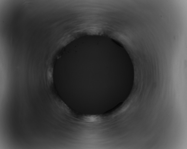 X0000088060432200705251346
