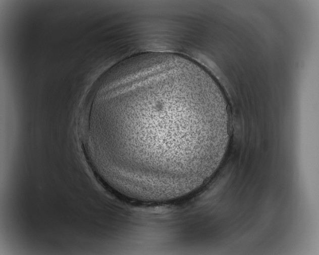 X0000088060433200705251345
