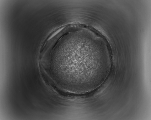 X0000088060434200705251345
