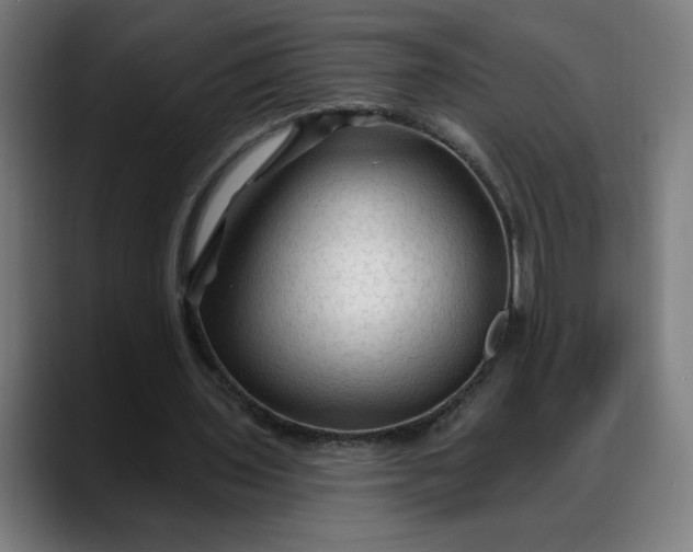 X0000088060435200705251345