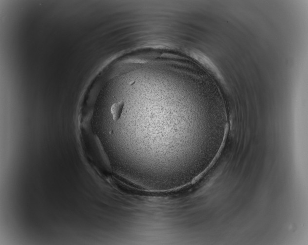 X0000088060436200705251345