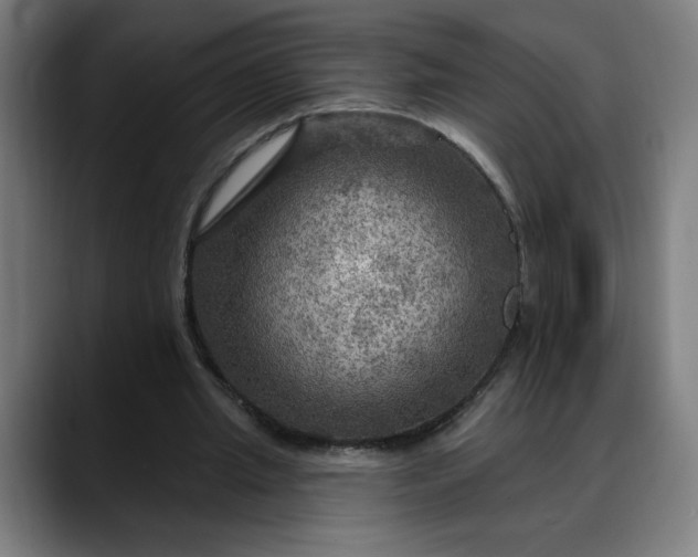 X0000088060437200705251345