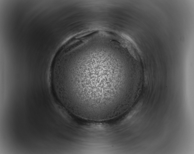 X0000088060439200705251345
