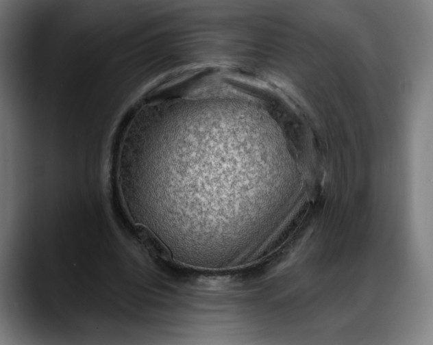 X0000088060440200705251345