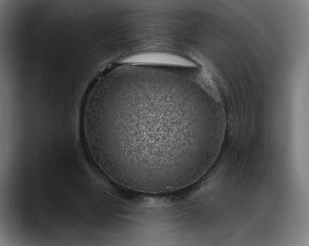 X0000088060442200705251345