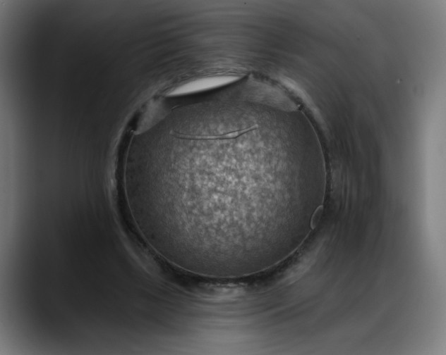 X0000088060443200705251345