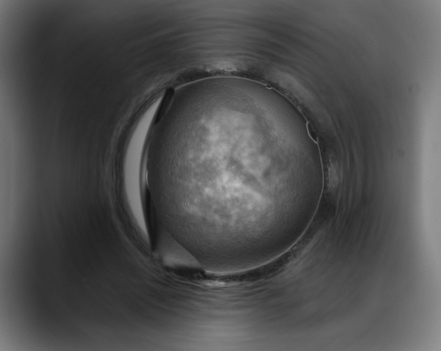 X0000088060444200705251345