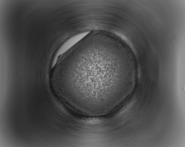 X0000088060445200705251345