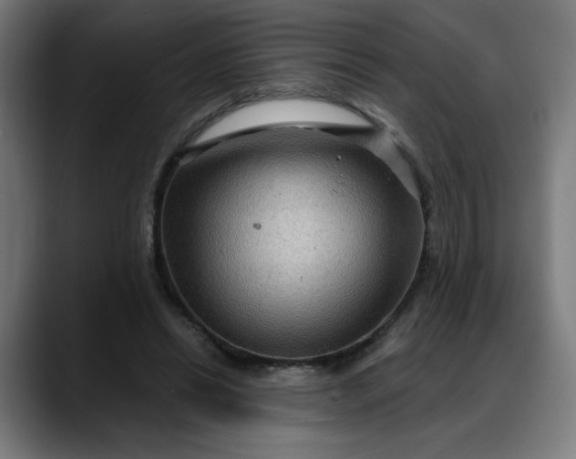 X0000088060446200705251345