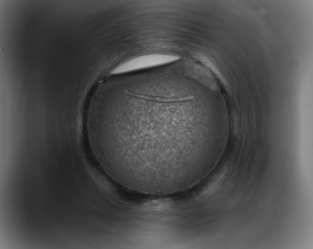 X0000088060447200705251345