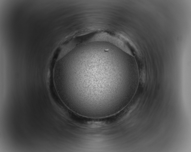 X0000088060448200705251345