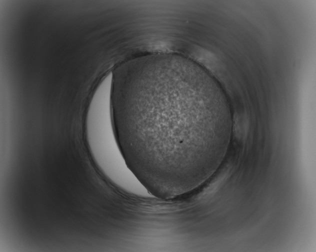 X0000088060449200705251346