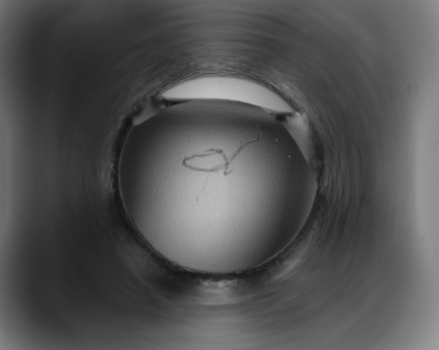 X0000088060450200705251346