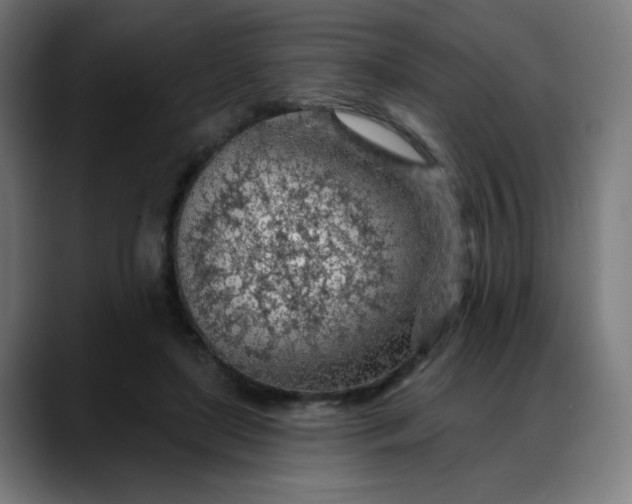 X0000088060451200705251346