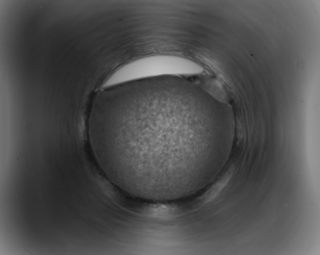 X0000088060453200705251346