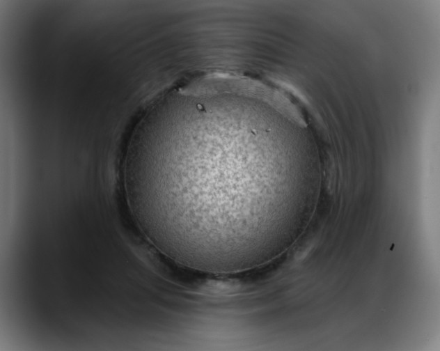 X0000088060455200705251346