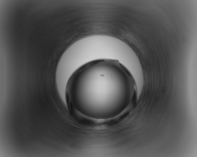 X0000088060456200705251346