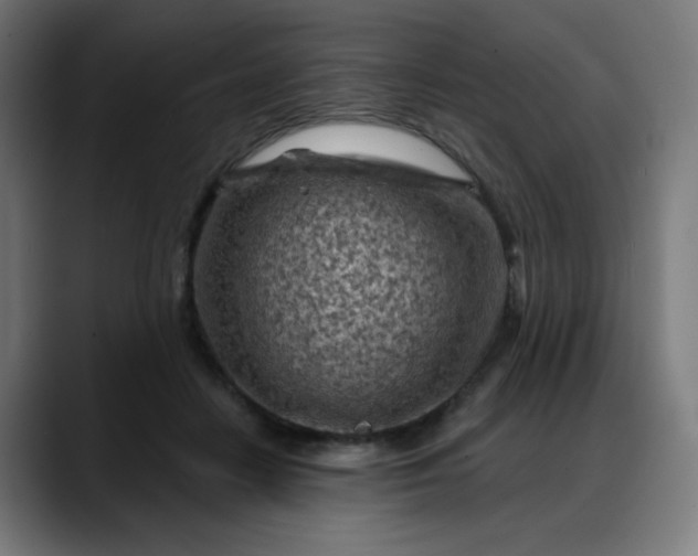 X0000088060458200705251346