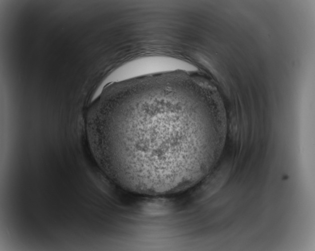 X0000088060459200705251346
