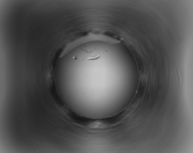 X0000088060460200705251346