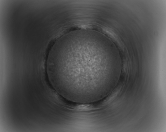 X0000088060461200705251346