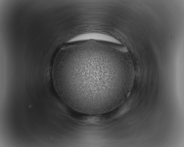 X0000088060462200705251346