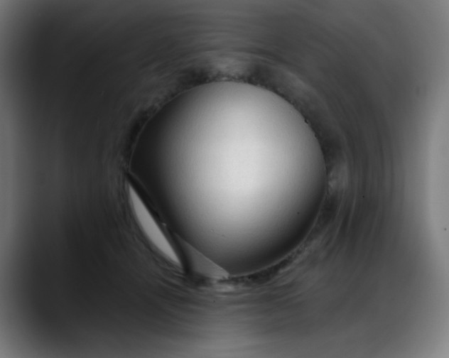 X0000088060464200705251346
