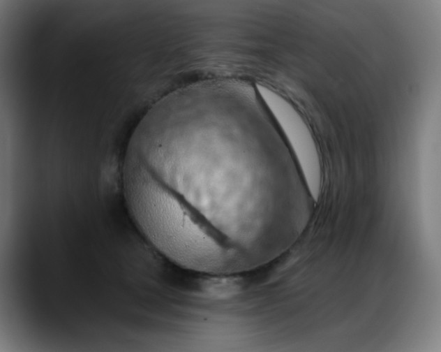 X0000088060465200705251346