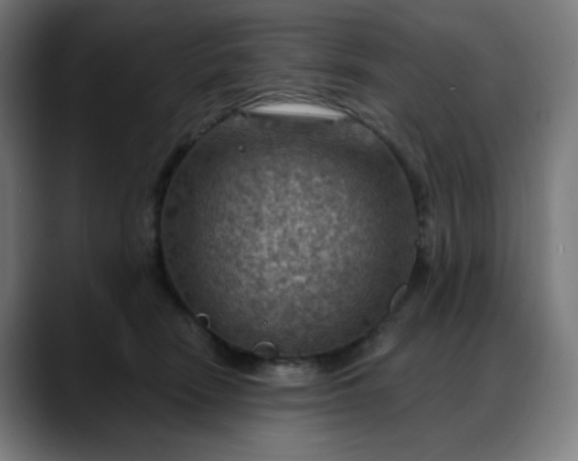 X0000088060466200705251346