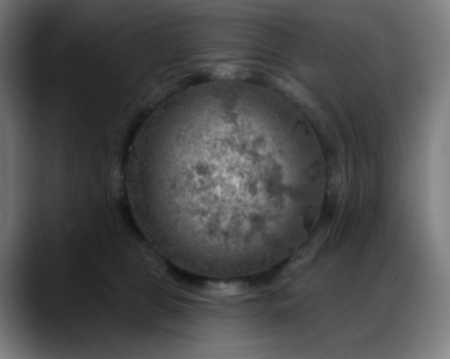 X0000088060469200705251346