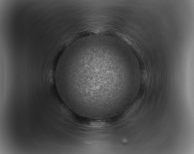 X0000088060470200705251346