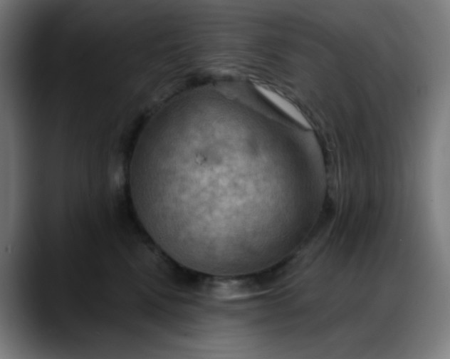 X0000088060472200705251346