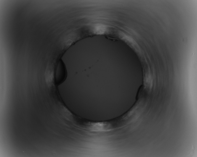 X0000088060473200705251346