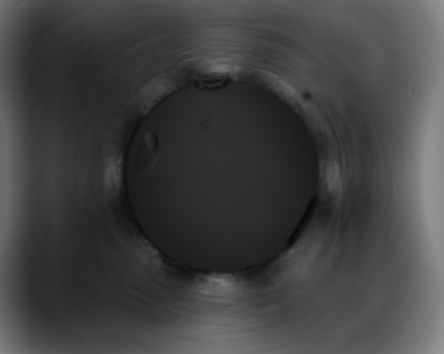 X0000088060475200705251346