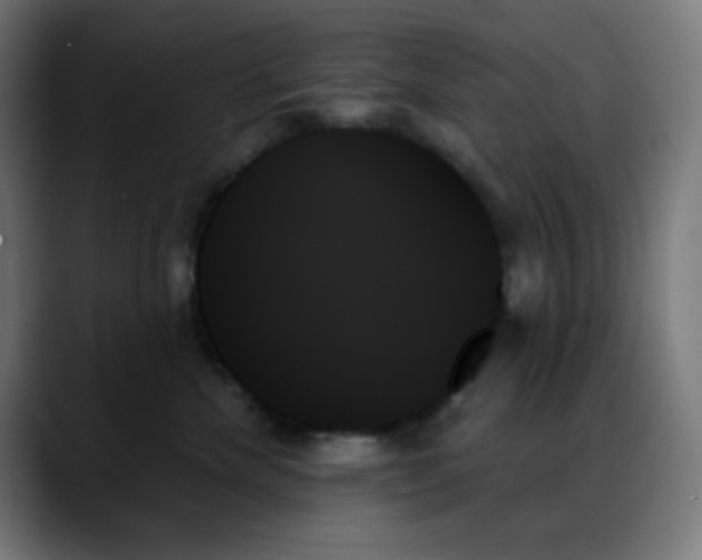 X0000088060476200705251346