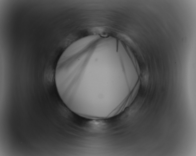 X0000088060477200705251346
