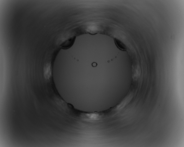 X0000088060478200705251346