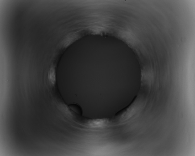X0000088060479200705251346