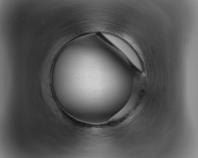 X0000088060481200705251345