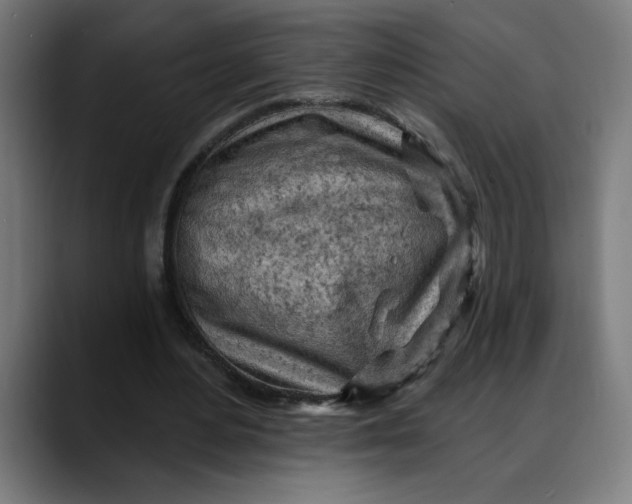 X0000088060484200705251345