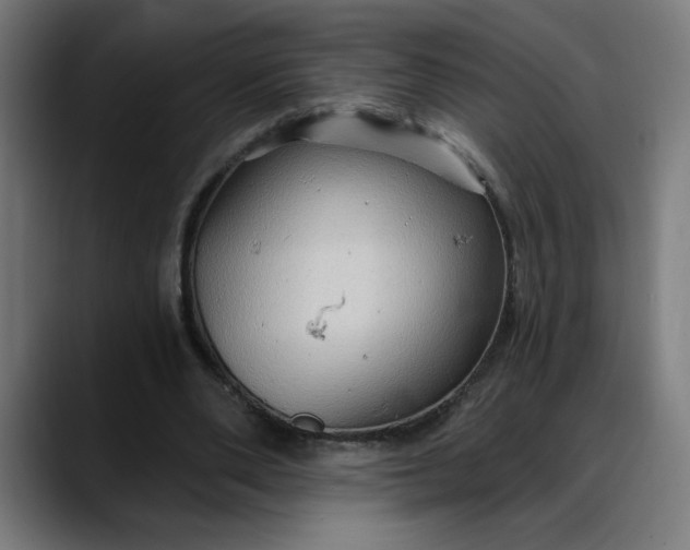 X0000088060486200705251345