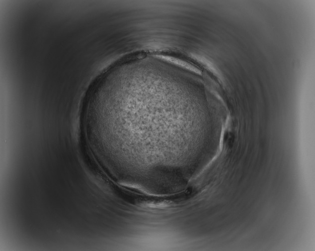 X0000088060488200705251345