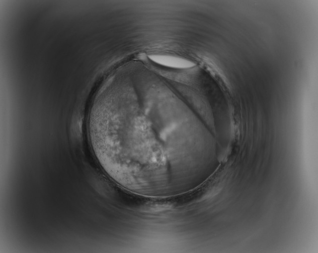 X0000088060491200705251345