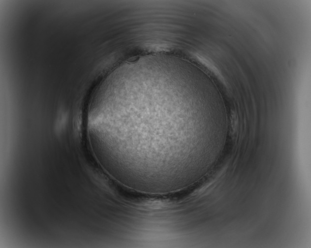 X0000088060494200705251345