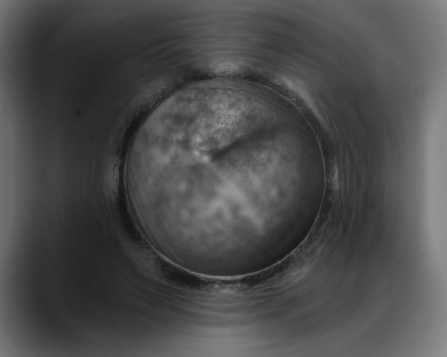 X0000088060495200705251345