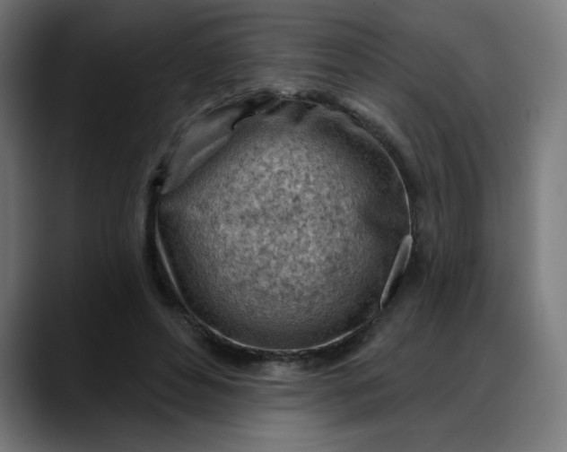 X0000088060496200705251345