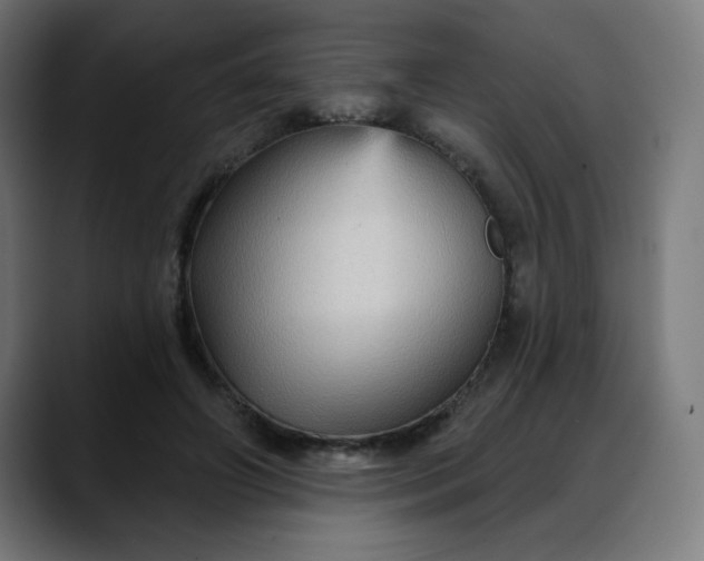 X0000088060498200705251345
