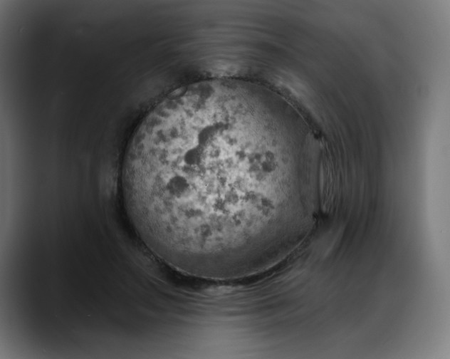 X0000088060499200705251345
