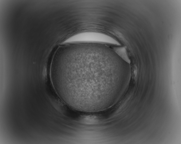 X0000088060500200705251345