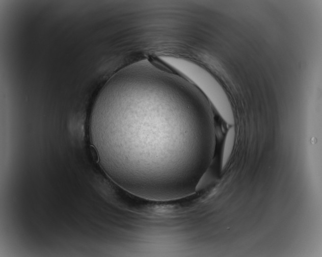 X0000088060501200705251345
